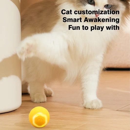 Self-Moving Cat Play Ball with USB Charging